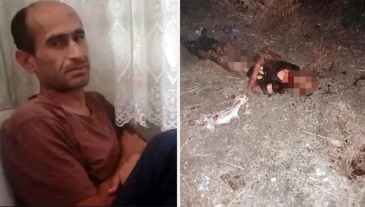 Sokak köpekleri parçalayarak öldürmüştü! Bahtsız adamın yaşadığı vahşet hastane raporunda