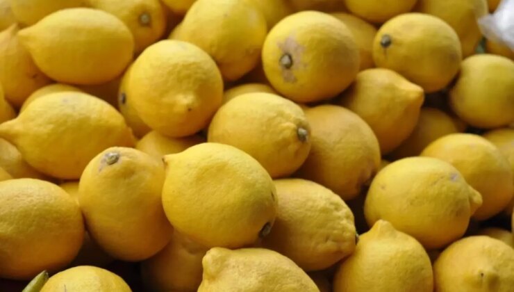 Limon fiyatları cep yakmaya devam ediyor: Üretici ve market ortasındaki fiyat farkı yüzde 370!